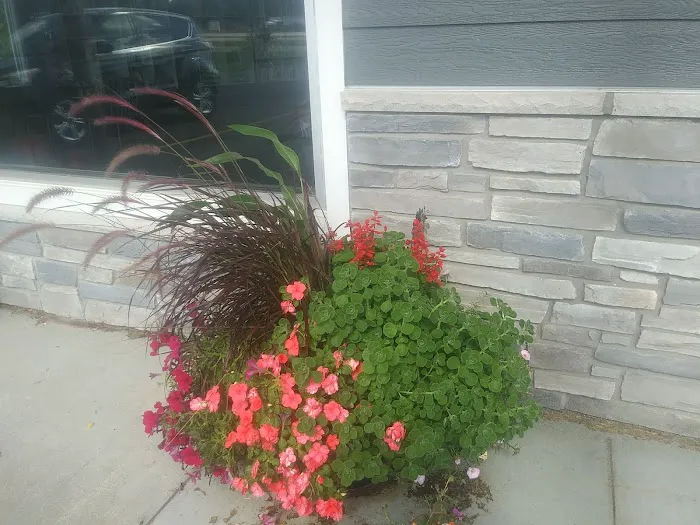 Peshtigo Veterinary Services Picture 4