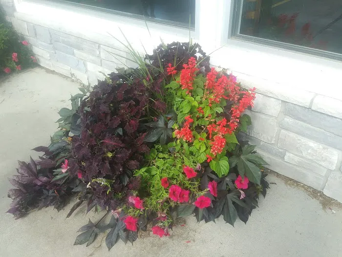 Peshtigo Veterinary Services Picture 3