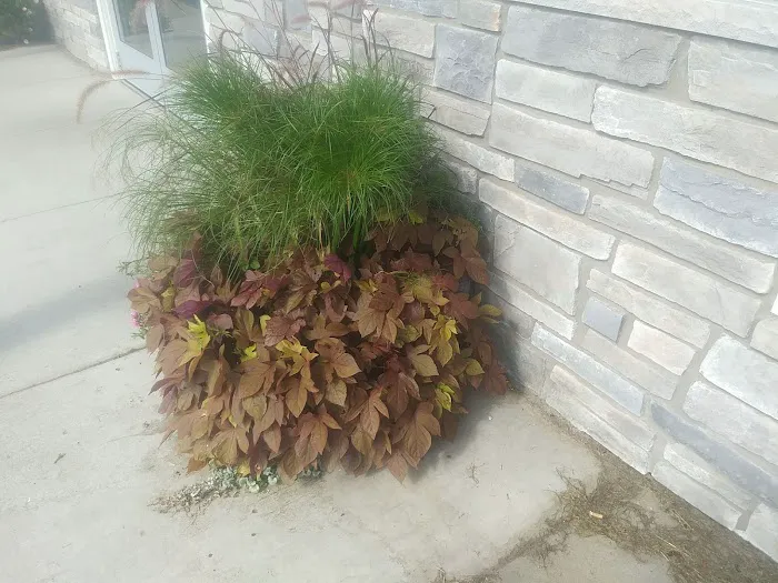 Peshtigo Veterinary Services Picture 2