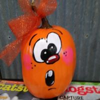 Peshtigo Veterinary Services ico