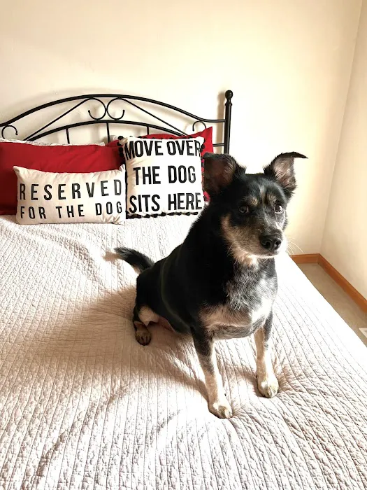 Peshtigo Veterinary Services Picture 5