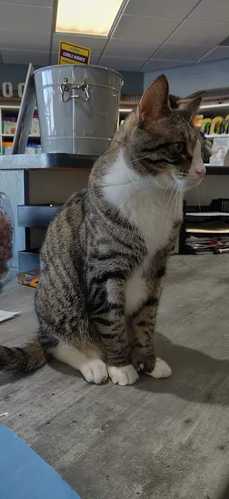 Peshtigo Veterinary Services Picture 7