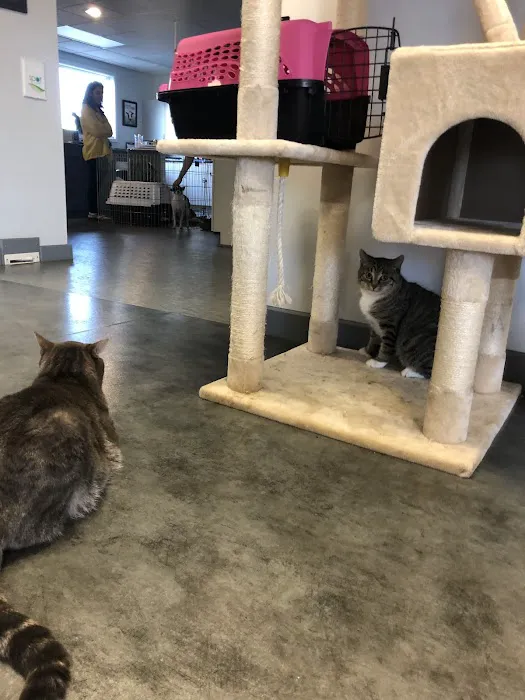 Peshtigo Veterinary Services Picture 8