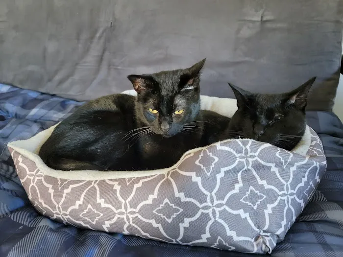 Peshtigo Veterinary Services Picture 10