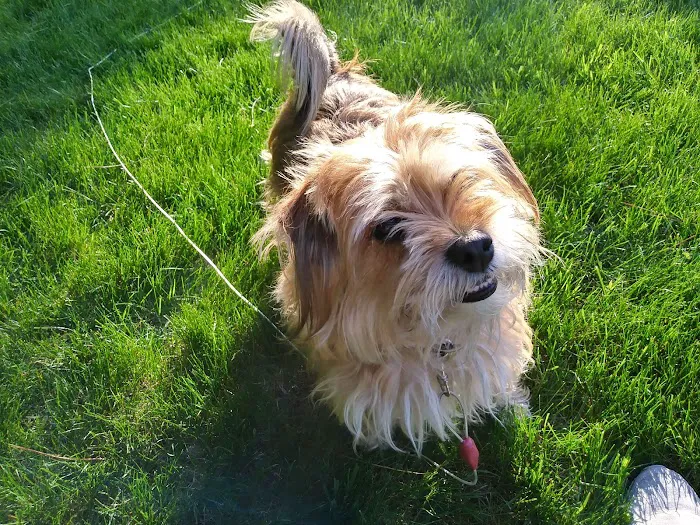 Peshtigo Veterinary Services Picture 9