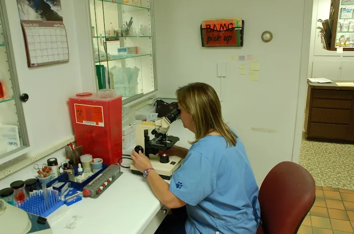 Town & Country Veterinary Clinic Picture 2