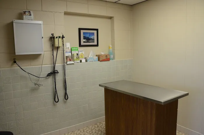 Town & Country Veterinary Clinic Picture 4