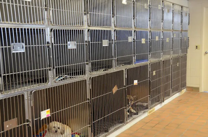 Town & Country Veterinary Clinic Picture 5