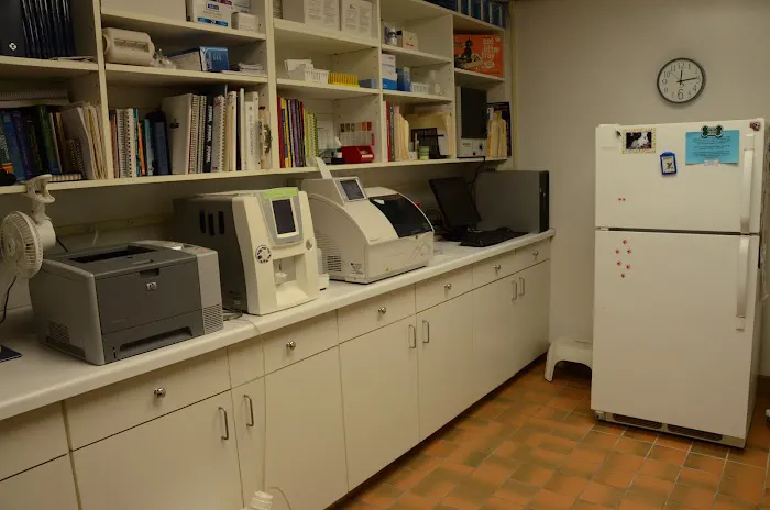 Town & Country Veterinary Clinic Picture 6