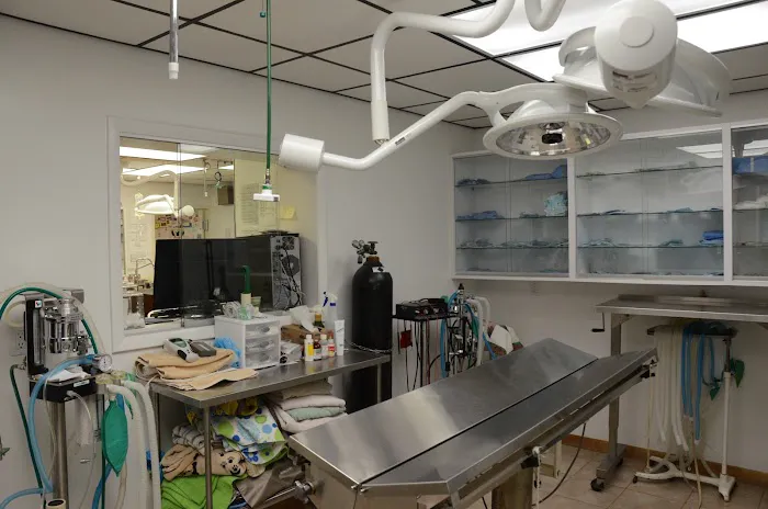 Town & Country Veterinary Clinic Picture 7