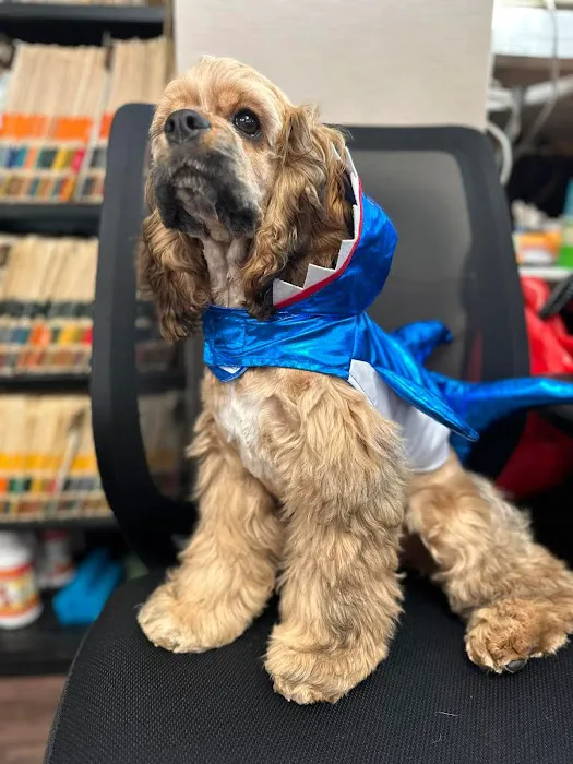 Town & Country Veterinary Clinic Picture 10