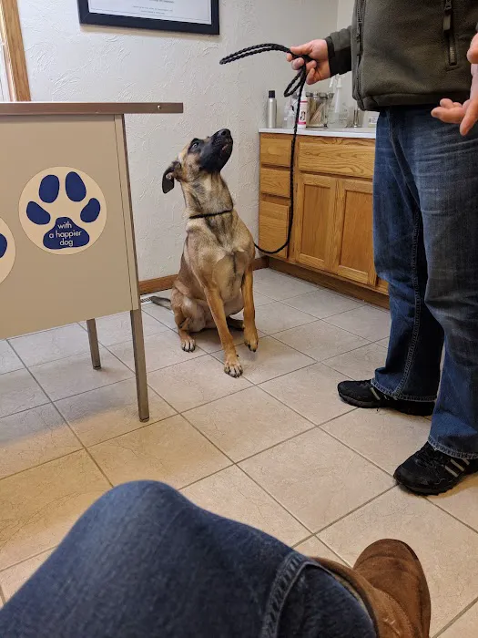 Countryside Veterinary Clinic Picture 5