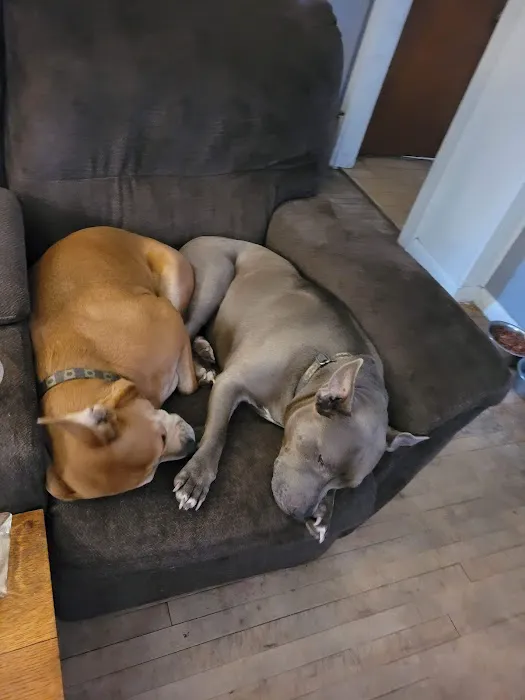 Countryside Veterinary Clinic Picture 3