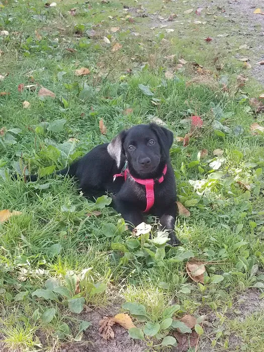 Countryside Veterinary Clinic Picture 9