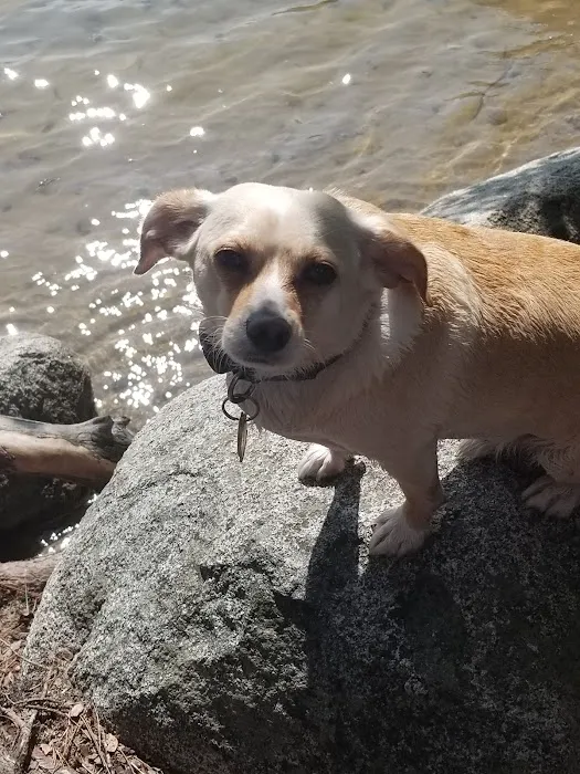 Countryside Veterinary Clinic Picture 7