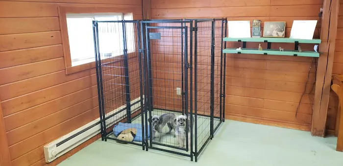 Countryside Veterinary Clinic Picture 10