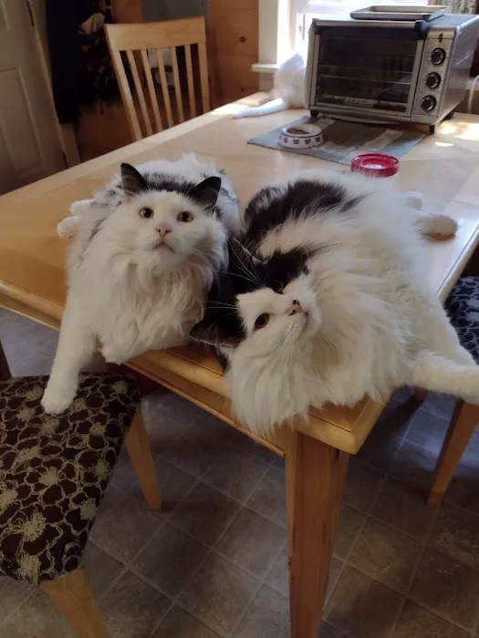 Crivitz Veterinary Hospital Picture 1