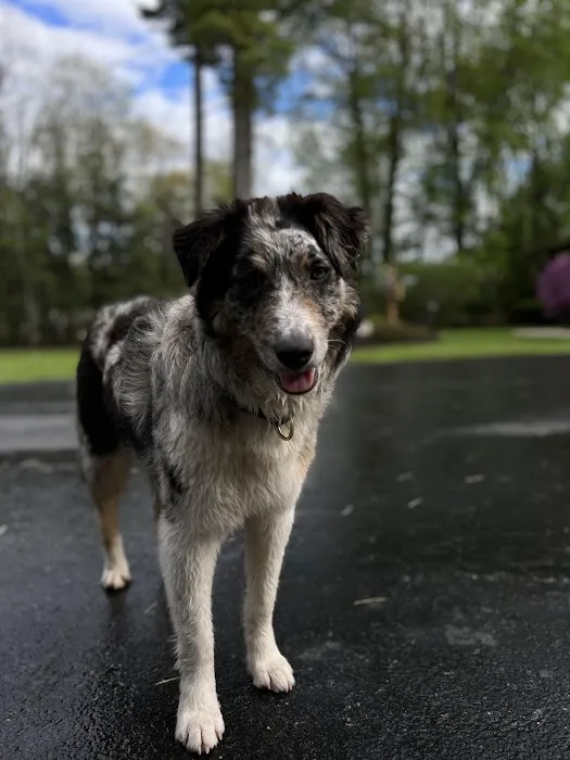 Crivitz Veterinary Hospital Picture 5