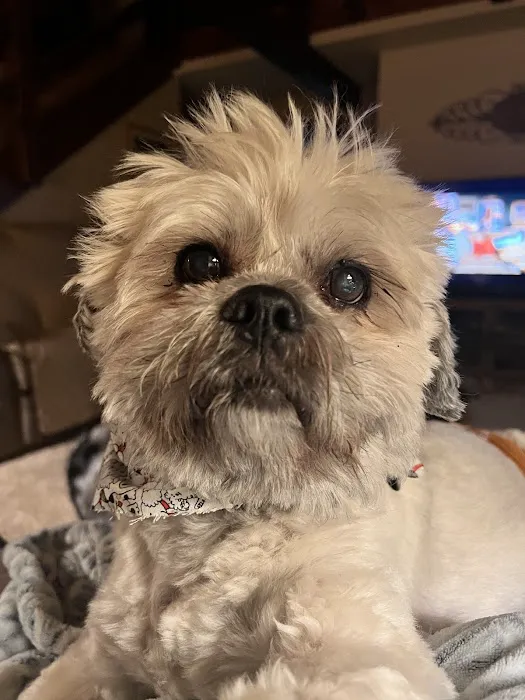 Crivitz Veterinary Hospital Picture 6