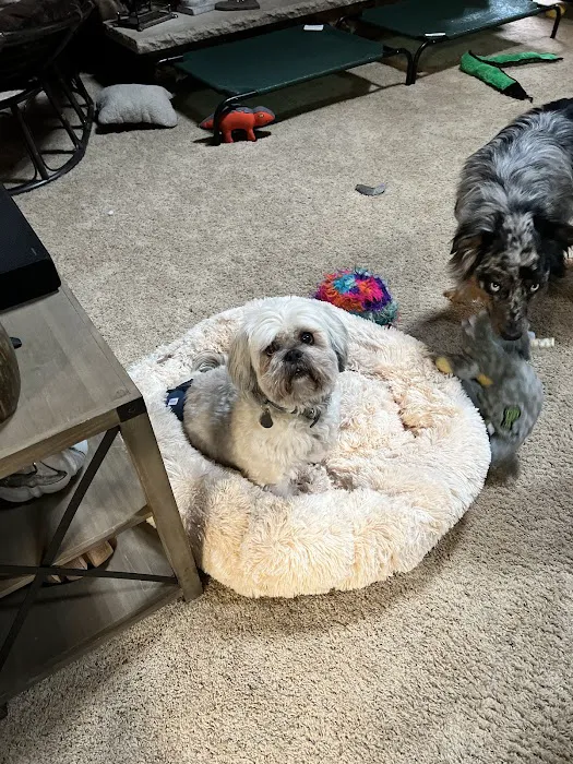 Crivitz Veterinary Hospital Picture 8