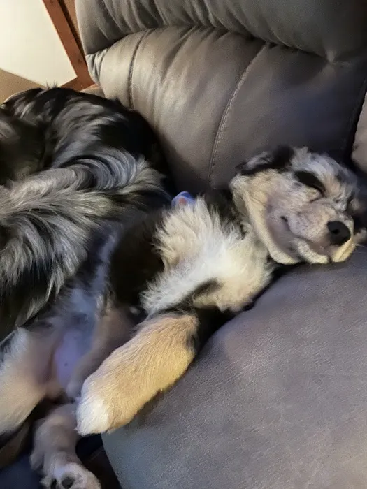 Crivitz Veterinary Hospital Picture 7