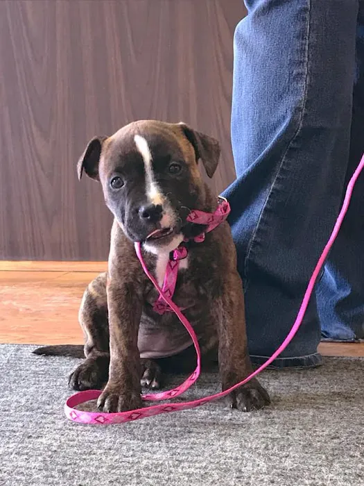 Crivitz Veterinary Hospital Picture 3