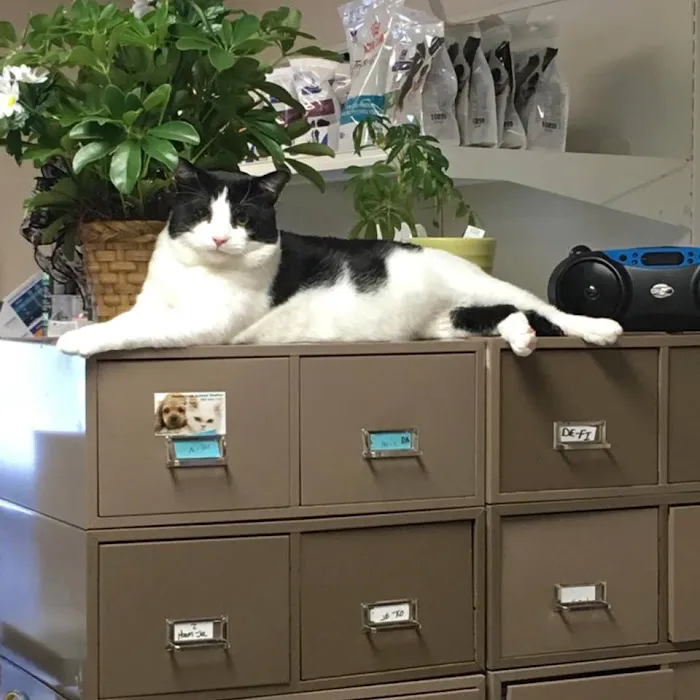 Crivitz Veterinary Hospital Picture 9