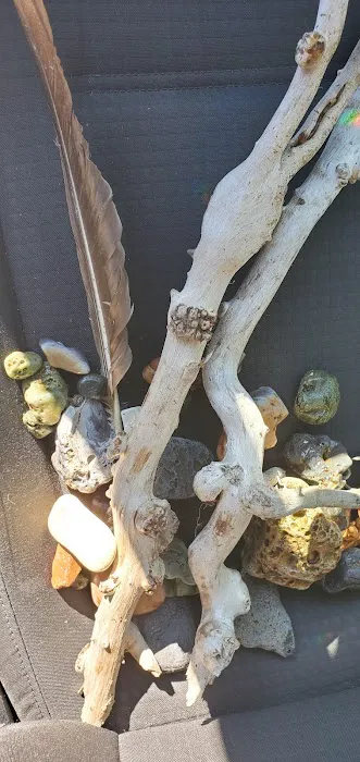 Bayshore Veterinary Clinic Pc Picture 1