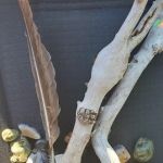 Bayshore Veterinary Clinic Pc