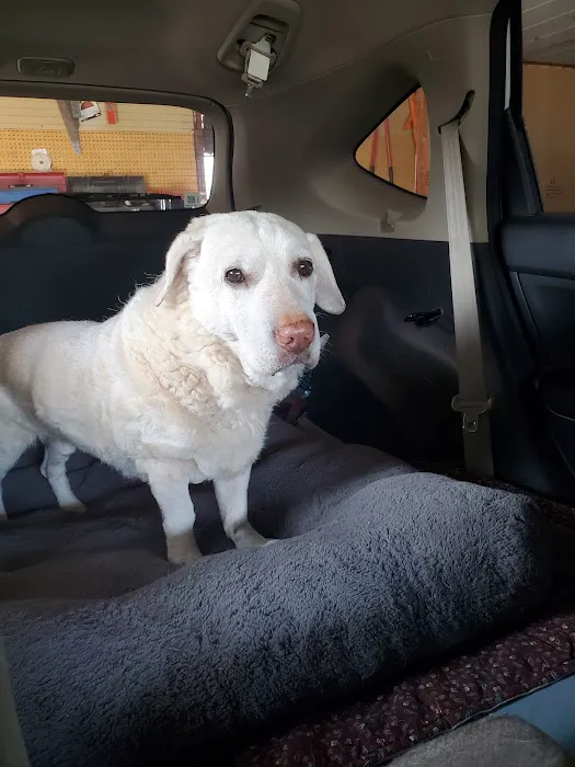 Bayshore Veterinary Clinic Pc Picture 3