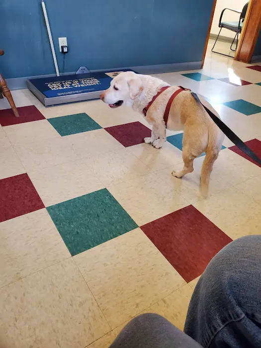 Bayshore Veterinary Clinic Pc Picture 7