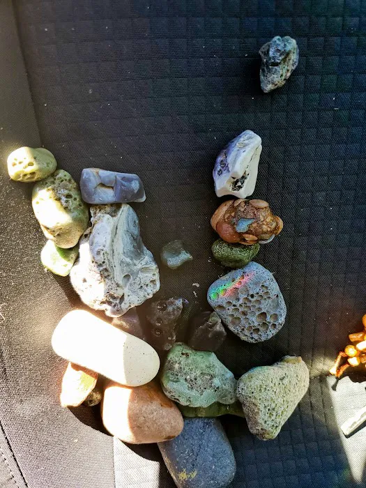 Bayshore Veterinary Clinic Pc Picture 6