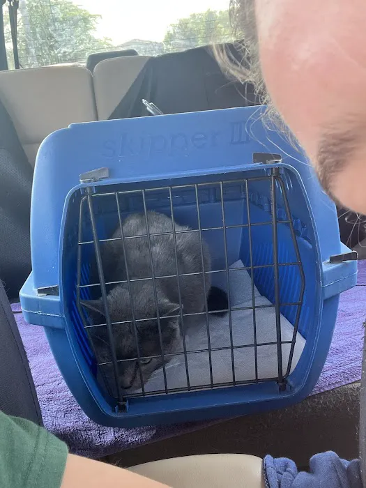 Bayshore Veterinary Clinic Pc Picture 4