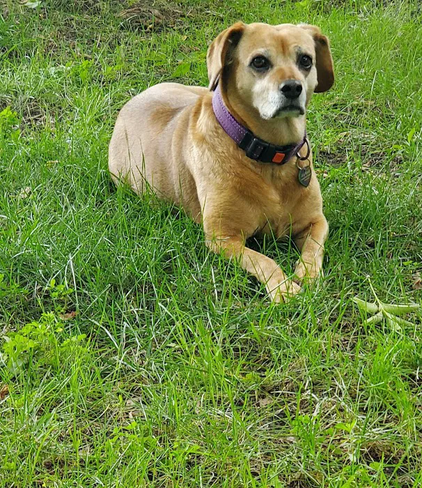 Bayshore Veterinary Clinic Pc Picture 8