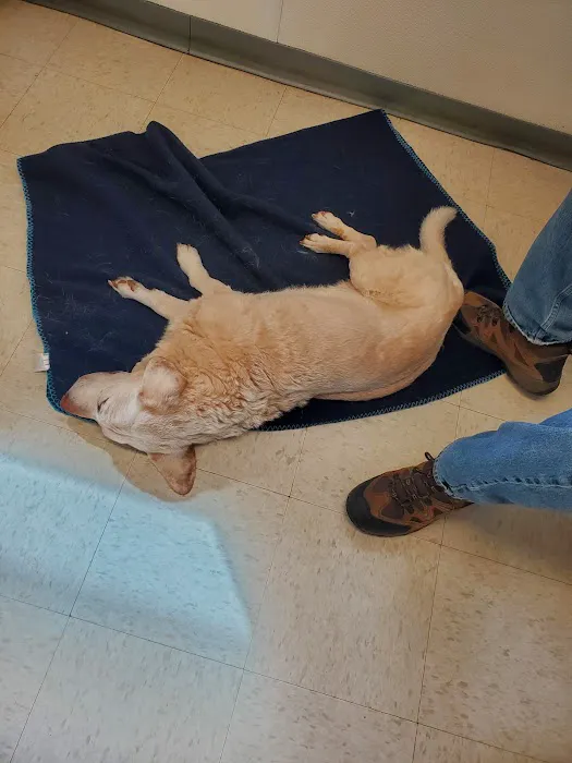 Bayshore Veterinary Clinic Pc Picture 5