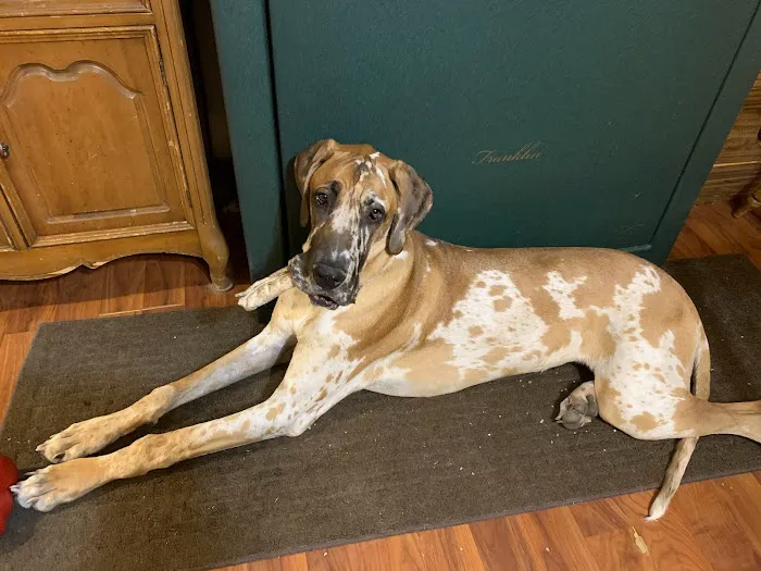 Bayshore Veterinary Clinic Pc Picture 10