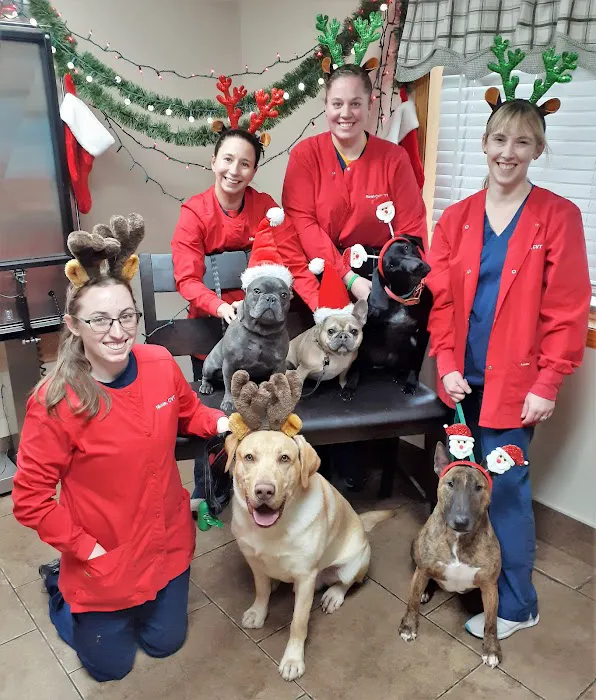 Country Hills Pet Hospital Picture 6