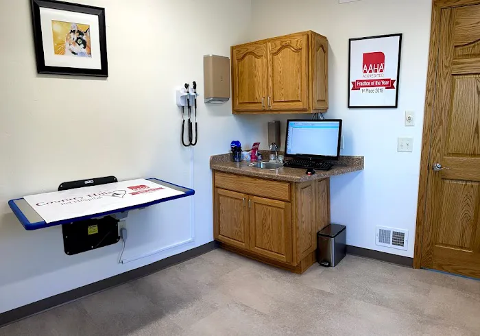 Country Hills Pet Hospital Picture 5