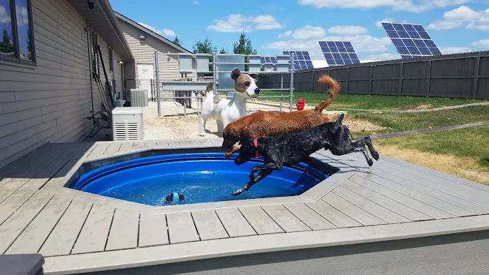 Country Hills Pet Hospital Picture 7