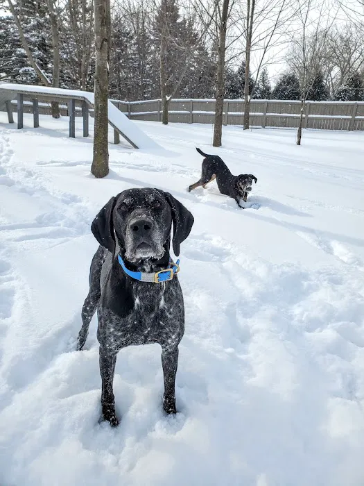 Country Hills Pet Hospital Picture 8