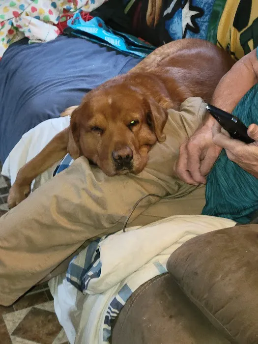 Wright Veterinary Services Picture 2