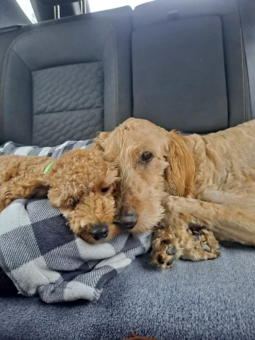 Wright Veterinary Services Picture 9