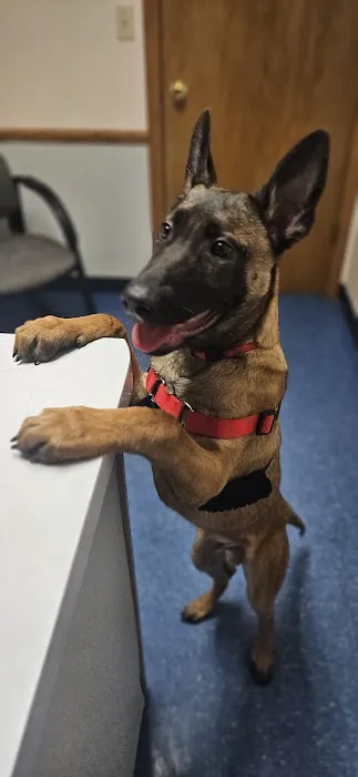 Wright Veterinary Services Picture 10