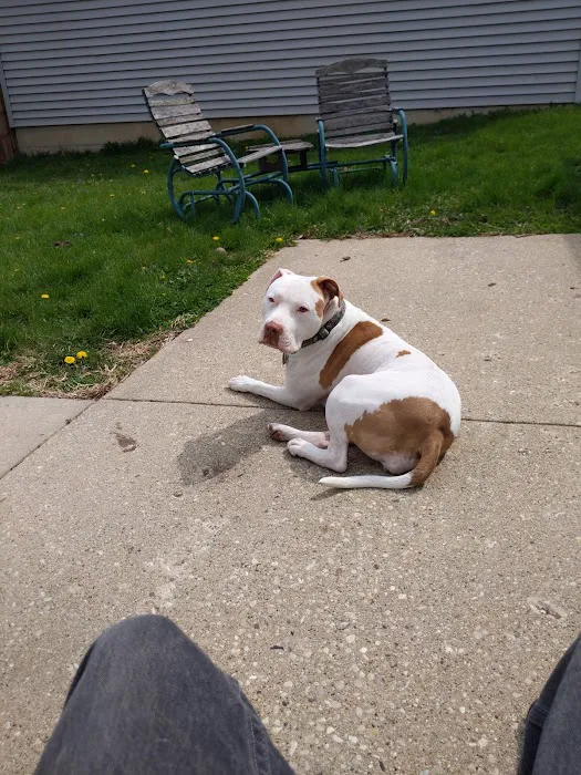 Country Veterinary Clinic Picture 5