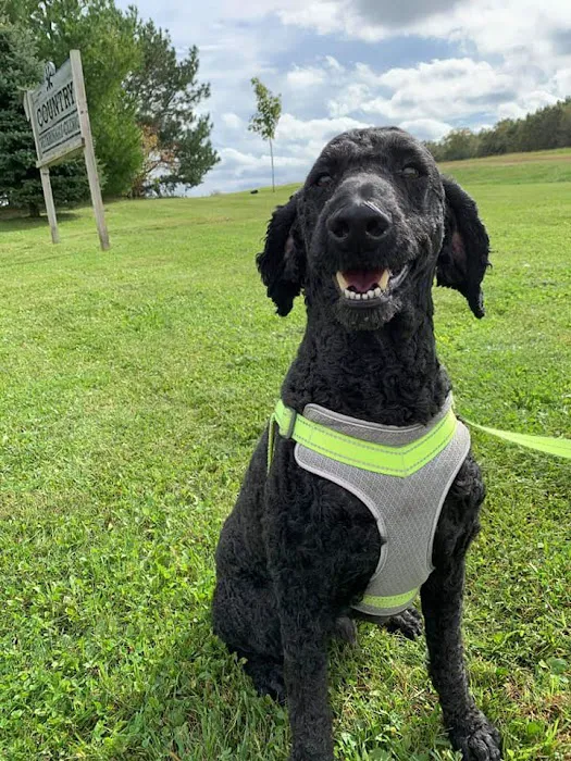 Country Veterinary Clinic Picture 2