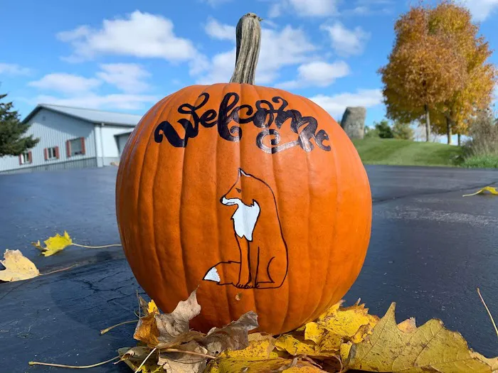 Country Veterinary Clinic Picture 3