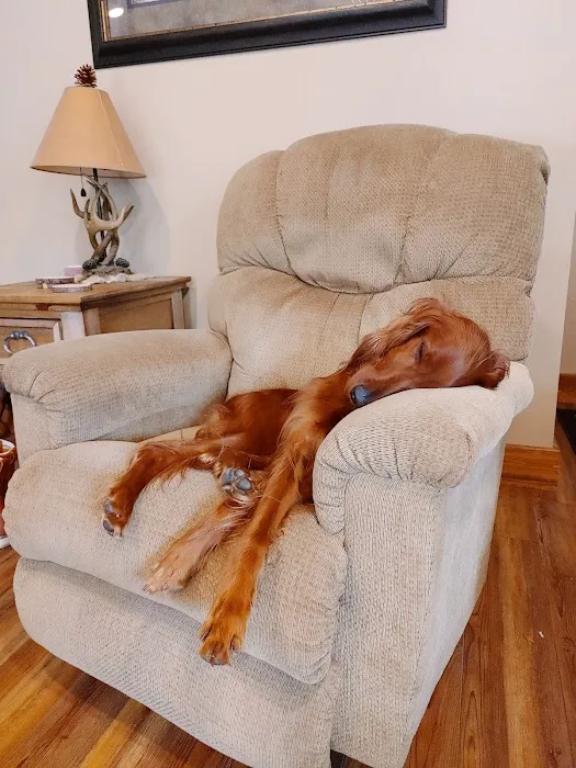 Country Veterinary Clinic Picture 7