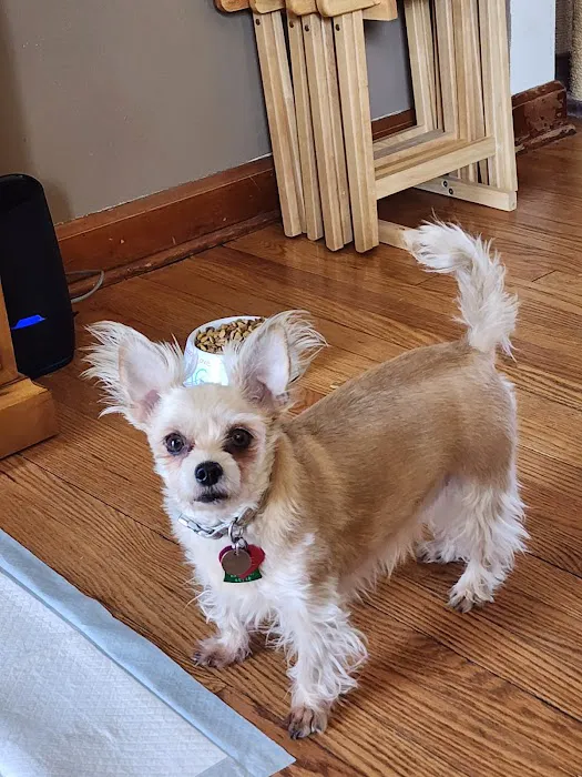 Country Veterinary Clinic Picture 6