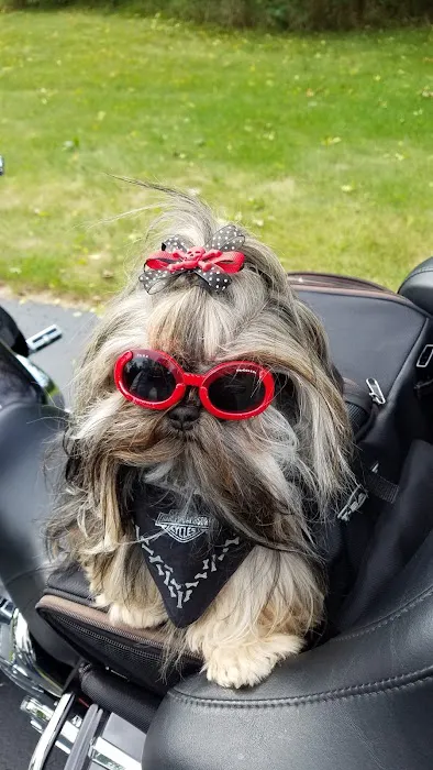 Hartford Animal Clinic Picture 2