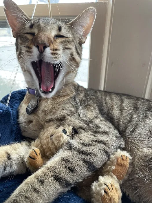 Hartford Animal Clinic Picture 4